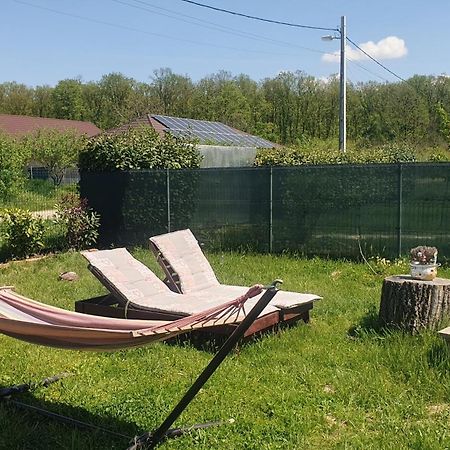 Forest Relax Near Oradea -Pet Friendly Les Екстер'єр фото